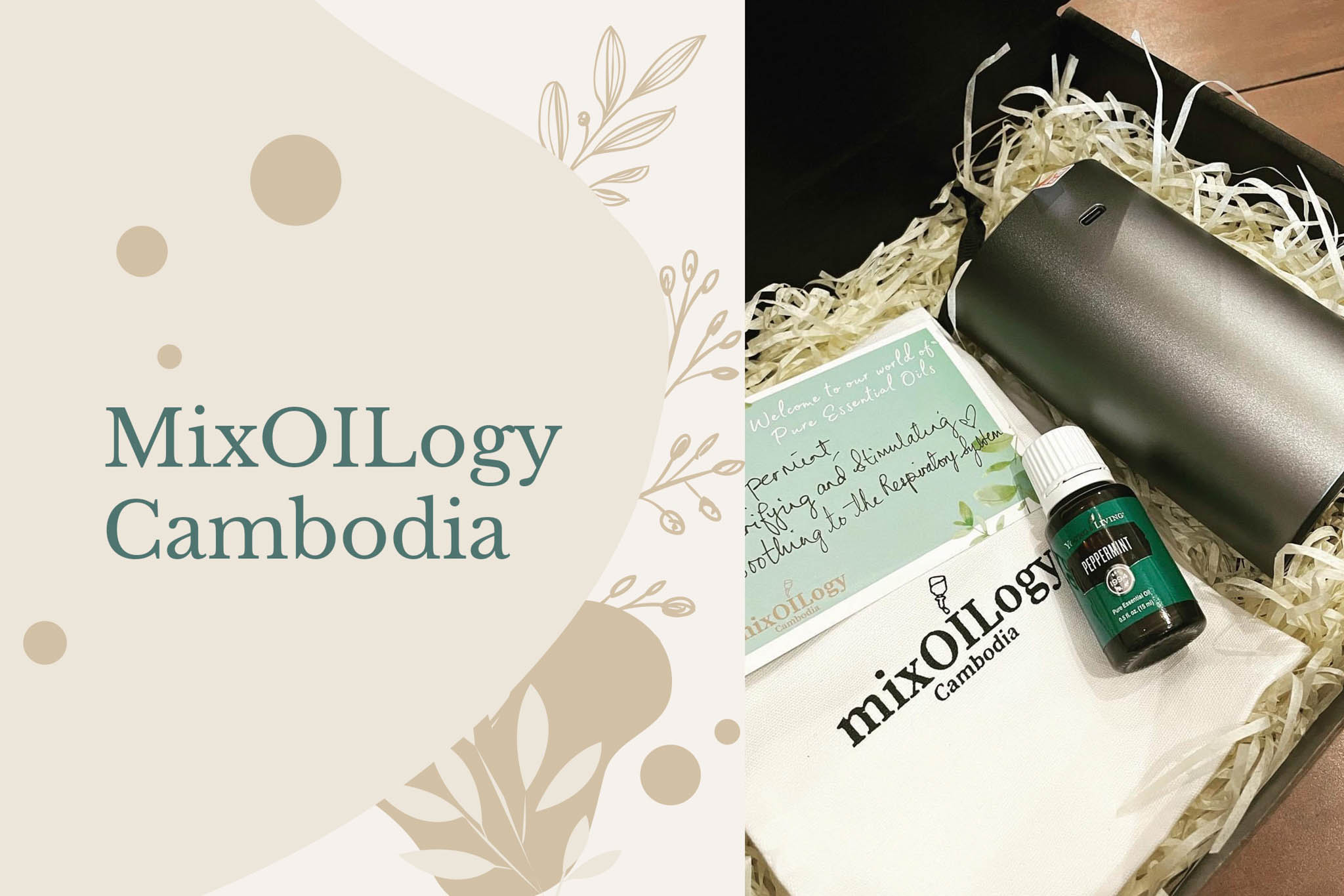 Image Courtesy: MixOILogy Cambodia