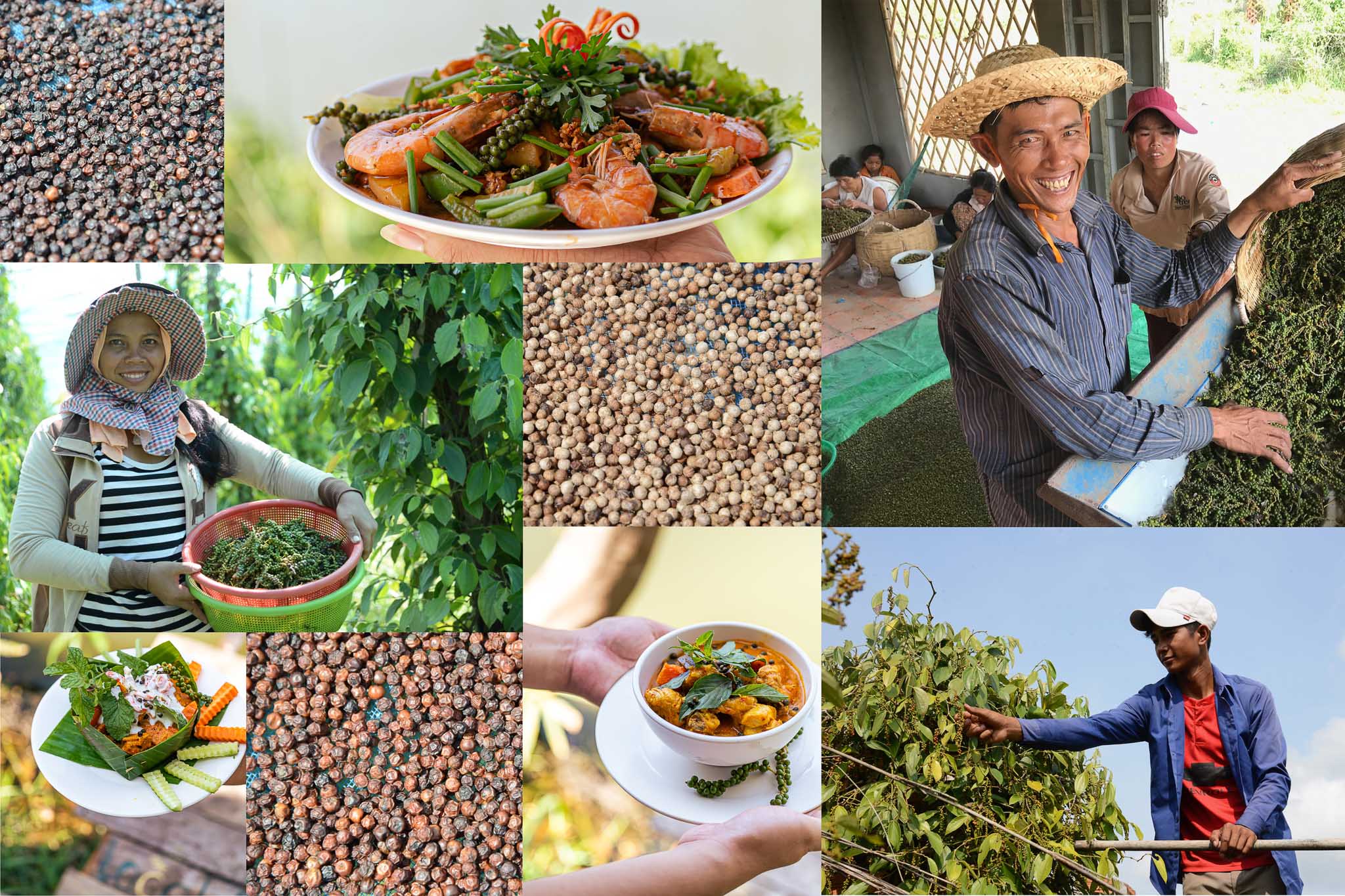 Image Courtesy: BoTree Farm