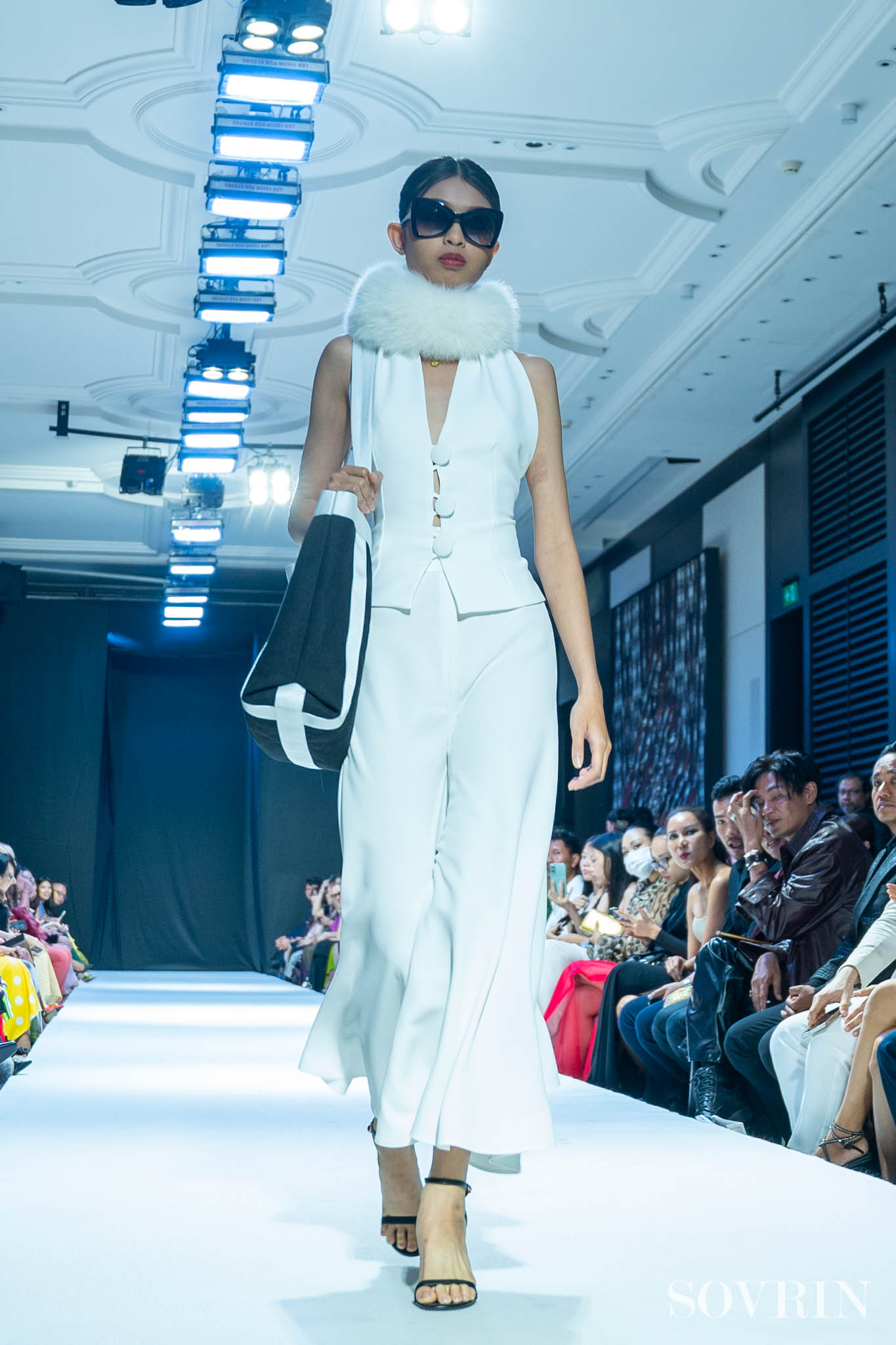 Collection By ALFREDO VAEZ